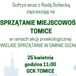 Sprzątanie Tomic